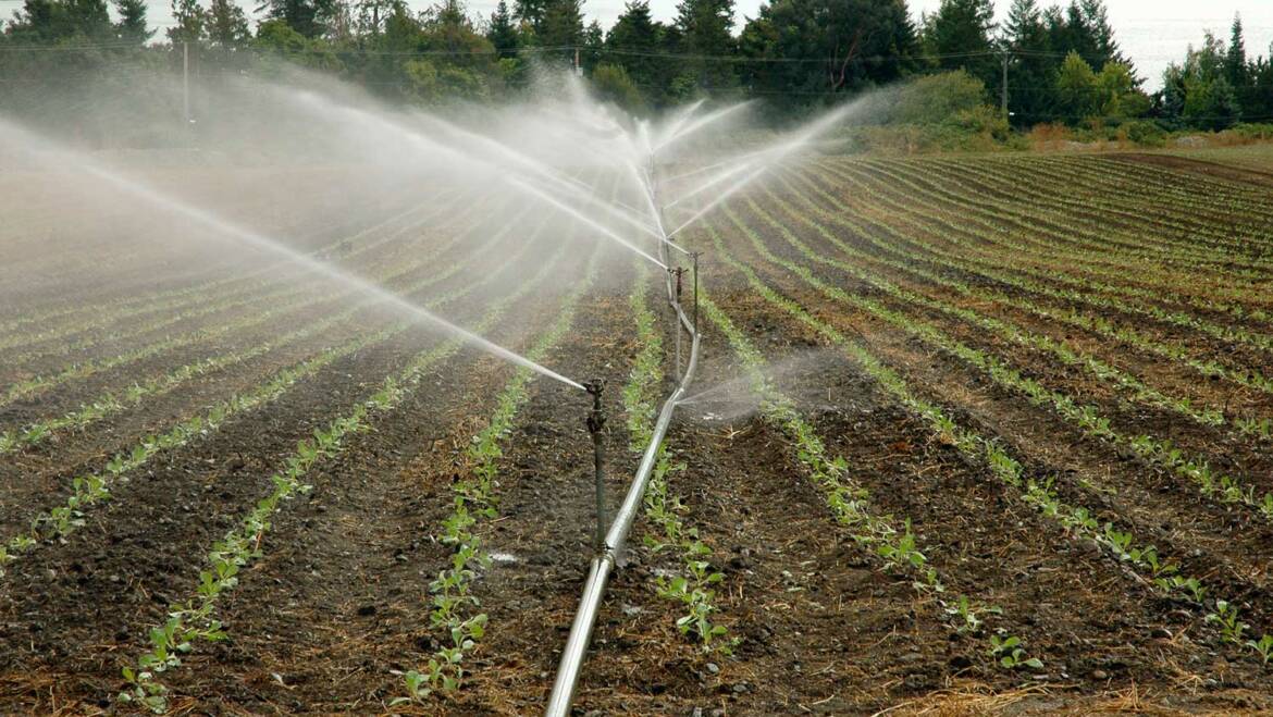 5 Sistemas de Riegos para Ahorro del Agua