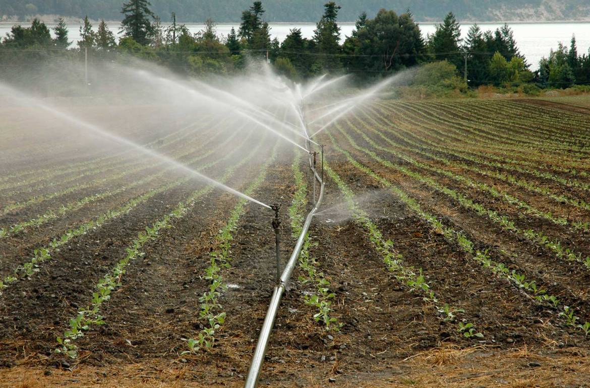 5 Sistemas de Riegos para Ahorro del Agua