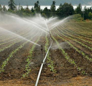 5 Sistemas de Riegos para Ahorro del Agua