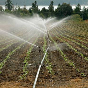 5 Sistemas de Riegos para Ahorro del Agua